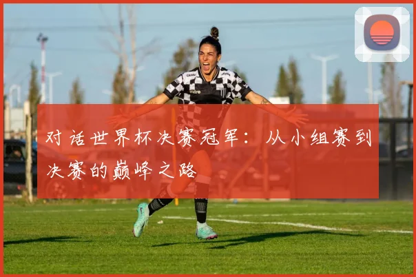 对话世界杯决赛冠军：从小组赛到决赛的巅峰之路