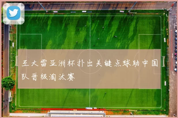 王大雷亚洲杯扑出关键点球助中国队晋级淘汰赛