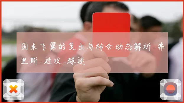 国米飞翼的复出与转会动态解析_弗里斯_进攻_球迷