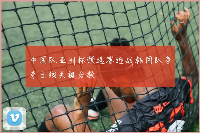 中国队亚洲杯预选赛迎战韩国队争夺出线关键分数
