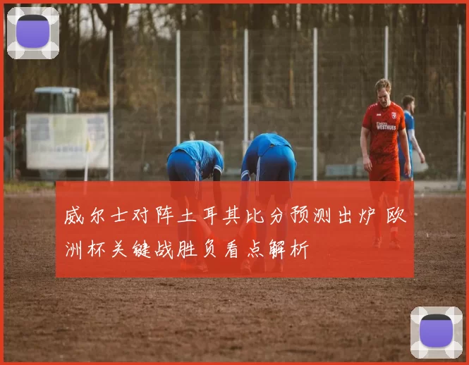 威尔士对阵土耳其比分预测出炉 欧洲杯关键战胜负看点解析