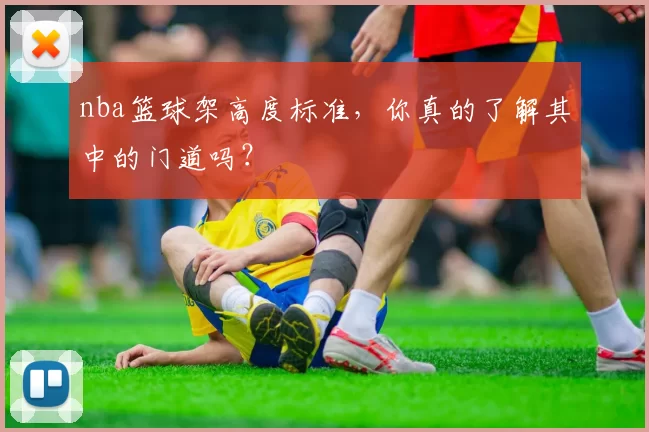 nba篮球架高度标准,你真的了解其中的门道吗?