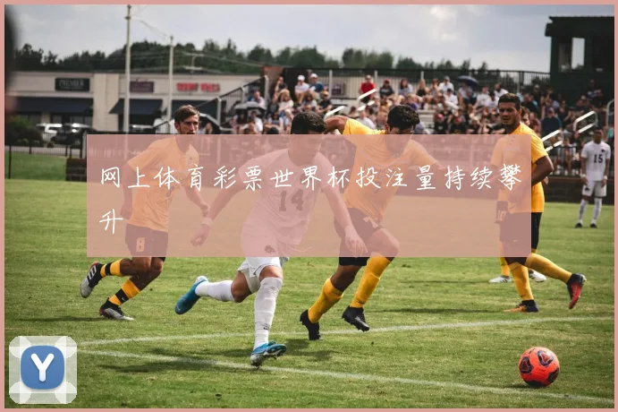 网上体育彩票世界杯投注量持续攀升